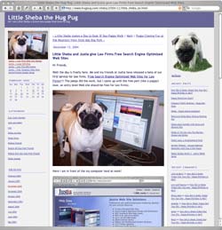 Sheba the Hug Pug's main blog